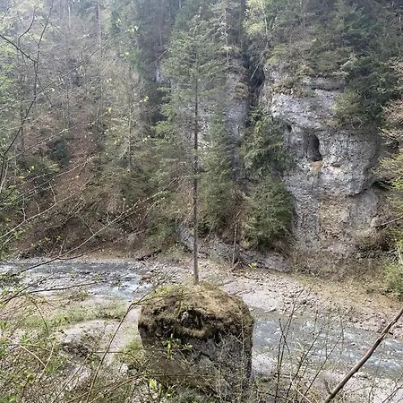 Haus Sabine Bürs