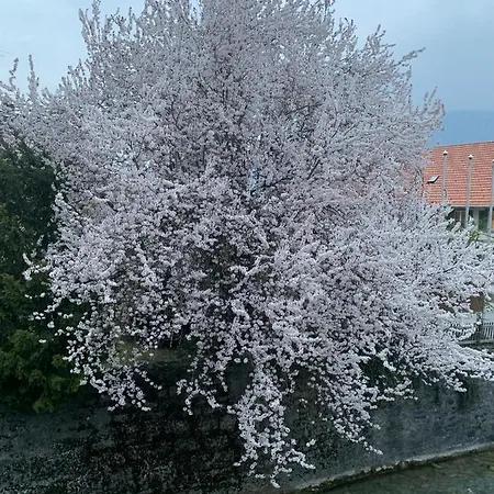 Haus Sabine